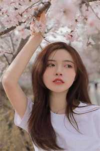 月晓风清欲落时温凝夕贺青全章节小说