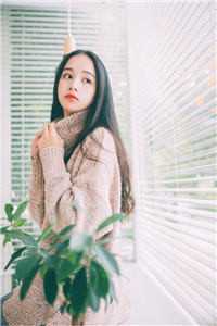 春上小桃枝 番外