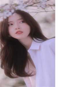霍晚清林慕泽的小说昨天过往皆可丢，今朝卜卦问佛来免费阅读
