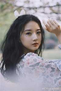 龙陨归墟，前尘皆逝苍妩青溟全章节小说